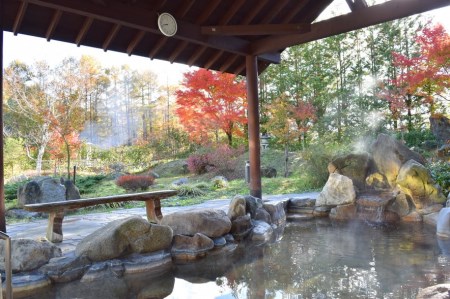 新見千屋温泉いぶきの里 入浴券(11枚回数券セット)