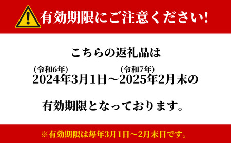 岡山県 新見地域 遊漁券(年間) 1等