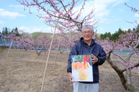 おかやま夢白桃 約2kg 8～9玉 【先行予約 7月下旬から順次発送】
