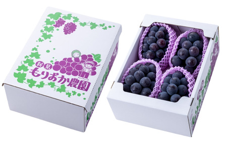 もりおか農園 よろこびぶどう ピオーネ 約2kg 3～4房 【先行予約 9月上旬から順次発送】