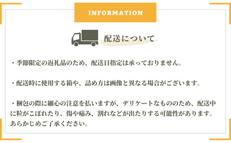 もりおか農園 よろこびぶどう ピオーネ 約2kg 3～4房 【先行予約 9月上旬から順次発送】