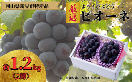 もりおか農園のよろこびぶどう 厳選ピオーネ 約1.2kg 2房 【先行予約 9月上旬から順次発送】