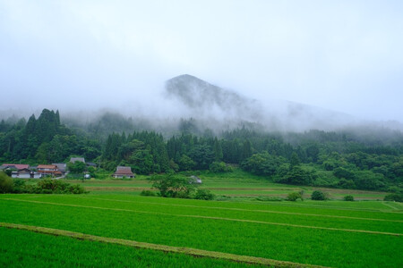 国産 米こうじみそ 1.2kg（600g×2個）