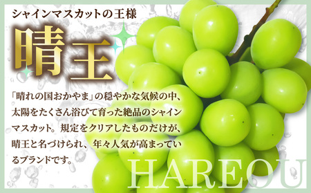 岡山県産 シャインマスカット 晴王 秀品 大房5kg【シャインマスカット】