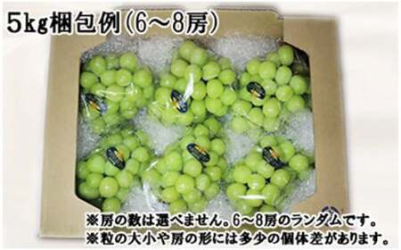 岡山県産 シャインマスカット 晴王 秀品 大房5kg【シャインマスカット】
