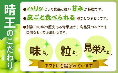 【令和８年発送分】岡山県産 シャインマスカット晴王【秀品】 大房１房（令和8年9月から10月頃発送）【 岡山県産 シャインマスカット 秀品 晴王 大房 晴れの国おかやま 】