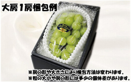 【令和８年発送分】岡山県産 シャインマスカット晴王【秀品】 大房１房（令和8年9月から10月頃発送）【 岡山県産 シャインマスカット 秀品 晴王 大房 晴れの国おかやま 】