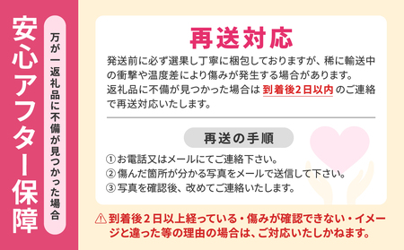 【令和８年発送分】岡山県産 シャインマスカット晴王【秀品】 大房１房（令和8年9月から10月頃発送）【 岡山県産 シャインマスカット 秀品 晴王 大房 晴れの国おかやま 】
