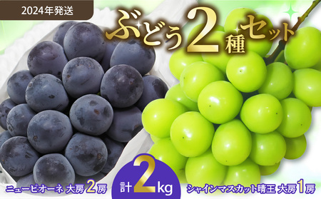 令和６年発送分】岡山県産 シャインマスカット晴王×ニューピオーネ ２