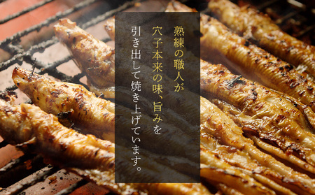 焼穴子 約500g（国産・大きいサイズ約5本）