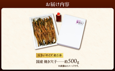 焼穴子 約500g（国産・大きいサイズ約5本）
