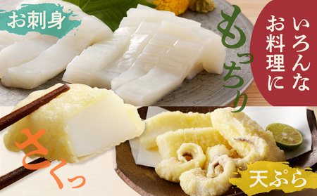 丸ごとモンゴウイカ（調理済）