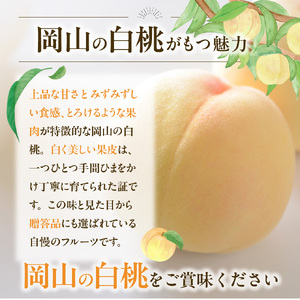 【2024年発送】岡山県備前市産　樹上完熟白桃　「紅清水・末木のうち1品種」約1.5kg（5～6玉入）