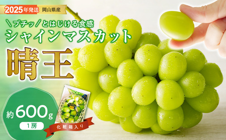 岡山県産 晴王　6〜7房 約5kg　秀品　 ※クール便発送 大房『晴王 シャインマスカット』岡山県産ぶどう 優〜秀 約5kg