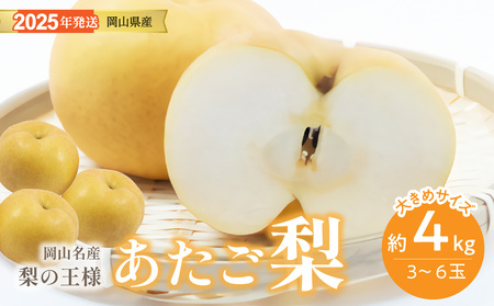 【2025年発送分 先行受付スタート】岡山名産 あたご梨 　秀品　約4kg（3～6玉）（令和７年11月下旬以降発送）【 あたご梨 秀品 梨 フルーツ 果物 岡山県産 】