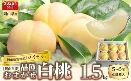 【令和８年発送分】岡山県産 白桃「ロイヤル」1.5kg（令和8年7月から8月頃発送）【 岡山県産 白桃 ロイヤル 晴れの国おかやま 】