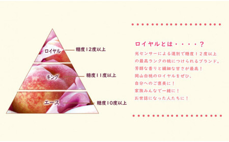 【2025年発送分 先行受付スタート！】岡山県産 白桃 最高ランク！ロイヤル約2kg（令和７年7月以降発送）