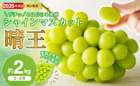 【2026年発送分 先行受付スタート！】岡山県産シャインマスカット「晴王」【ハウス栽培】約2kg（3～5房程度）（令和8年7月以降発送）【シャインマスカット 晴王】hz-s