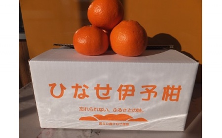 ひなせ いよかん 約10kg（2026年2月頃発送）【果物 フルーツ みかん ミカン ひなせ 伊予柑】