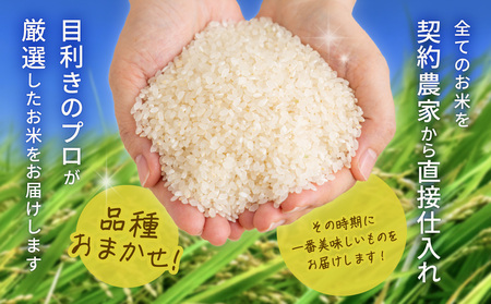 【令和7年産米】岡山県産米　10kg（5kg × 2袋）（令和7年11月上旬以降発送！）【お米 ランダム 配送 ヒノヒカリ にこまる 朝日 アケボノ あきたこまち 令和7年産 米 精米】