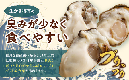 【 選べる配送時期 】【 2025年発送 】岡山県日生産 生鮮 むき身かき 600g（300ｇ×2パック）【 全国牡蠣-1グランプリ豊洲2024 加熱部門初代グランプリ受賞！ 生鮮 牡蠣 600g 生鮮牡蠣 むき身 プリプリした食感  一年牡蠣】