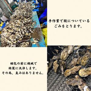【2026年2月以降発送】殻付き牡蠣(加熱用)　半缶（約5～6kg）【加熱用 ガンガン焼き ナイフ付き 殻付き 海鮮 魚介類 海産物 オイスター】