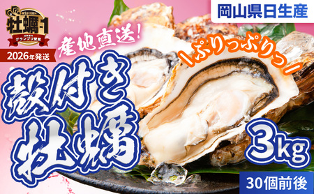 ★先行受付開始！★【2026年発送分】産地直送！岡山県日生産牡蠣　殻付き牡蠣30個前後（3kg）（2026年1月中旬以降発送）