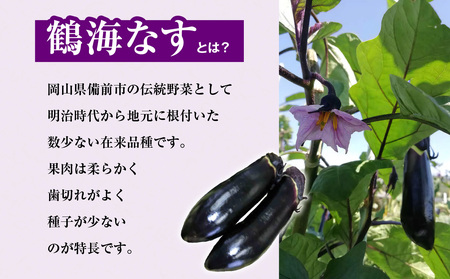 【2026年7月～8月頃発送】鶴海なすとドレッシング、たれのセット