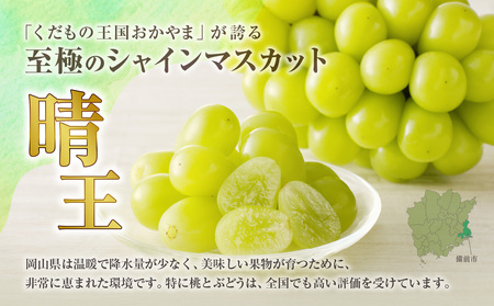 岡山県産 シャインマスカット 晴王 秀品 約1kg 2房【シャインマスカット】hz-s