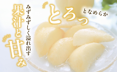 【2026年発送分 先行受付開始!】【定期便】びぜん白桃 味くらべセット 約2kg×4回発送(令和8年6月下旬~7月頃発送)【桃】
