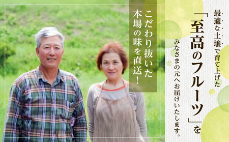 【2026年発送分 先行受付開始!】【定期便】びぜん白桃 味くらべセット 約2kg×4回発送(令和8年6月下旬~7月頃発送)【桃】