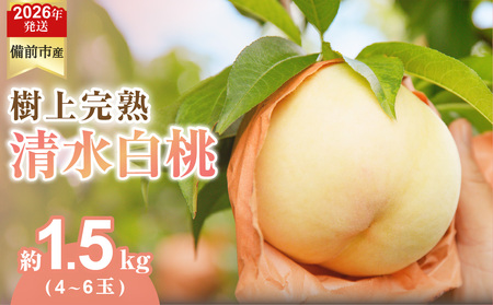 【2026年発送分　先行受付開始！】びぜん白桃　清水白桃　約1.5kg（令和8年7月上旬～7月中旬頃発送）【 岡山県備前市産 清水白桃 約1.5kg （４～６玉目安） 】