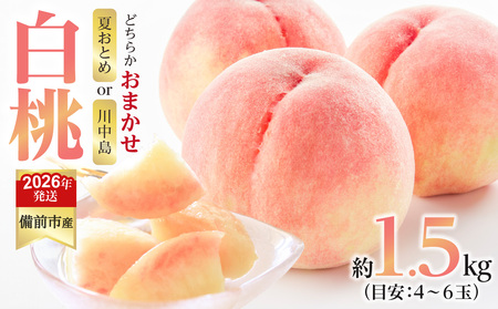 【2026年発送分　先行受付開始！】びぜん白桃　夏おとめ白桃・川中島白桃のうち1品種　約1.5kg（令和8年7月中旬～7月下旬頃発送）