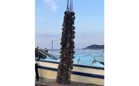 【2026年発送！】日生頭島殻付牡蠣「海の恵」大粒30個【生鮮 牡蠣 日生産 ひなせ カキ かき 海のミルク 加熱用】