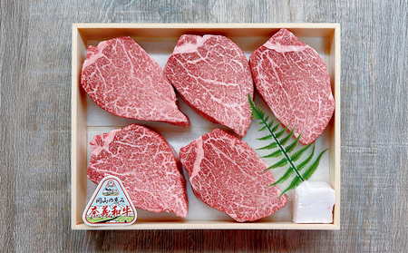 【天満屋選定品】百貨店バイヤーおすすめ!奈義和牛 ヒレステーキ 750g(150g×5枚)【奈義和牛 ヒレ 地域ブランド牛 黒毛和牛 肉 牛 ステーキ】