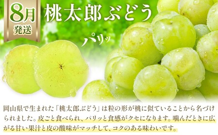 【2026年発送】【定期便】岡山のぶどう　3種食べ比べ 約700g以上×3回発送（令和8年8月中旬～10月中旬頃発送）【岡山県産　ぶどう　葡萄　3種　約700g（1房）フルーツ 果物 くだもの 桃太郎ぶどう シャインマスカット ピオーネ デザート】