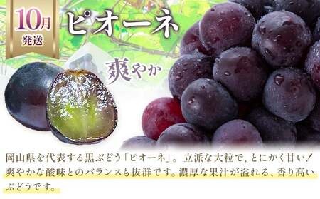【2026年発送】【定期便】岡山のぶどう　3種食べ比べ 約700g以上×3回発送（令和8年8月中旬～10月中旬頃発送）【岡山県産　ぶどう　葡萄　3種　約700g（1房）フルーツ 果物 くだもの 桃太郎ぶどう シャインマスカット ピオーネ デザート】