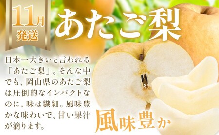 【2026年発送】【定期便】岡山の果物　3種食べ比べ 3回発送（令和8年7月中旬～11月下旬頃発送）【岡山県産 桃 白桃 ぶどう 葡萄 シャインマスカット あたご梨 3種 食べ比べ フルーツ 果物 くだもの デザート】