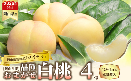 【令和８年発送分】岡山県産 白桃「ロイヤル」4kg（令和8年7月から8月頃発送）【桃】