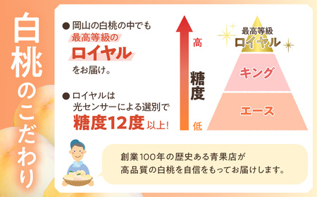【令和８年発送分】岡山県産 白桃「ロイヤル」4kg（令和8年7月から8月頃発送）【桃】