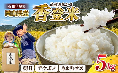 ★品種おまかせ!★【令和7年産】精米 香登米(かがとまい) 5kg