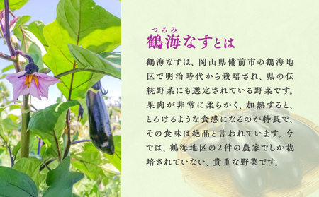 【2026年発送】鶴海なすジャムのセット