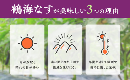 【2026年発送】鶴海なすジャムのセット