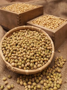 手造り豆腐 国産大豆100%使用 こだわり製法