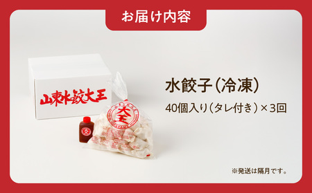 餃子 水餃子 定期便 3回発送 40個 ミシュラン 山東水餃大王