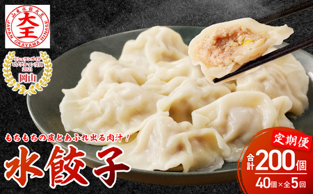餃子 水餃子 定期便 5回発送 40個 ミシュラン 山東水餃大王 定期便（5回発送A）