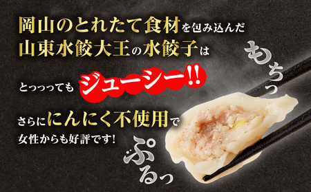 餃子 水餃子 定期便 5回発送（うち香味2回） ミシュラン 山東水餃大王 定期便（5回発送B）香味入り