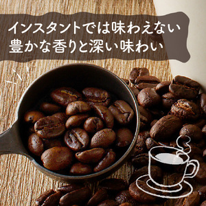 自家焙煎　東風コーヒー豆100g×3点セット
