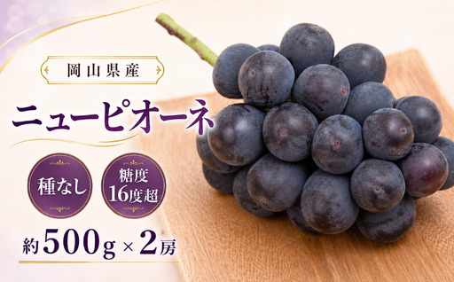 ぶどう 2026年 先行予約 ニュー ピオーネ 約500g×2房 種無し ブドウ 葡萄  岡山県産 国産 フルーツ 果物 ギフト デザート 果実 美しい 大粒 高糖度 皮ごと 食べ応え 芳醇 甘い 果汁 食べやすい 大人気