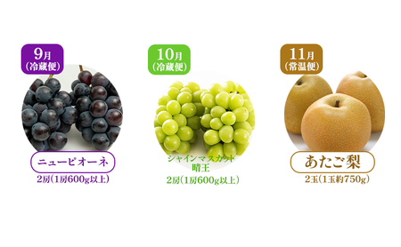 ぶどう 梨 定期便 2026年 先行予約 フルーツ王国 岡山を堪能 定期便 3回コース 葡萄 ぶどう 梨 なし 岡山県産 国産 果物 セット ギフト 